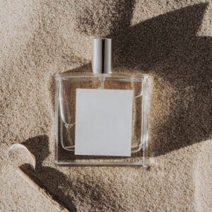 collection cover image 4